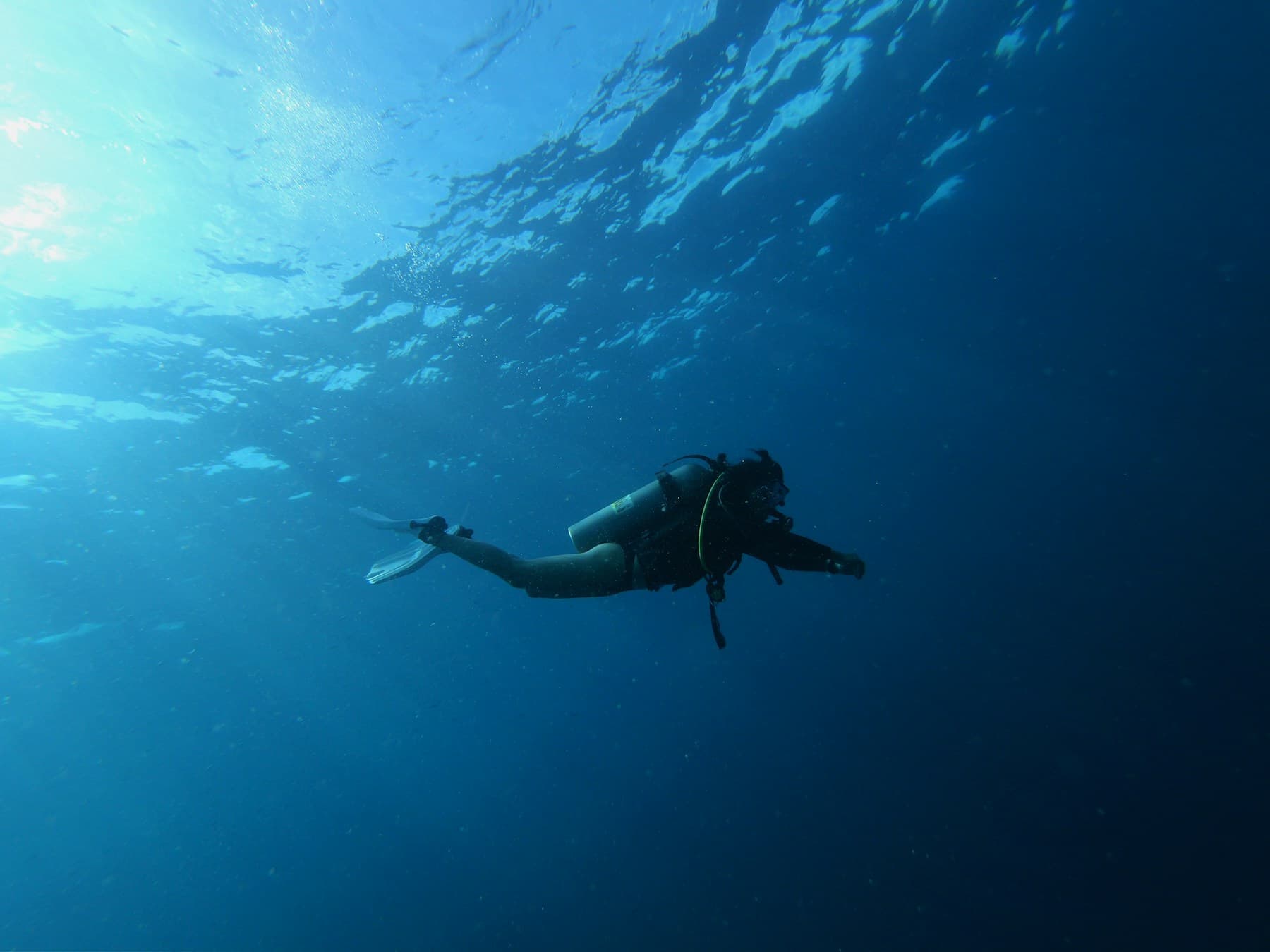 A diver underwater